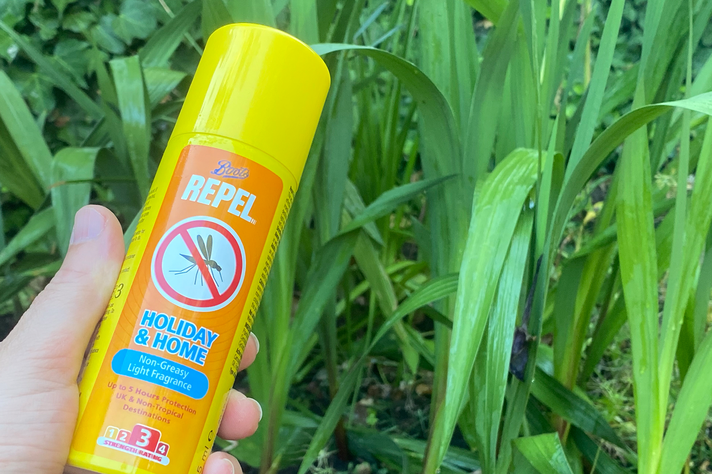 Best mosquito repellent 2025, tried and tested | The Independent
